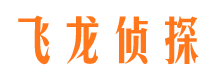 眉山侦探公司